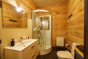 a bathroom with a sink and a shower and a toilet at Dacha 9 in Voropayev