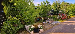 um jardim com um monte de plantas e bicicletas estacionadas em Apartament LIDER na wyłączność em Słupsk