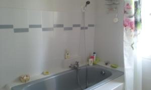 Salvagnac-Cajarc的住宿－Chez carpet，带浴缸的浴室
