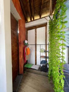 Mancora Sunset House في مانكورا: غرفة بها نافذة بها نبات أخضر