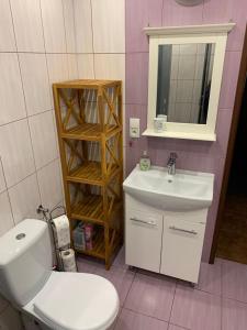 Mikołajki في ميكووايكي: حمام به مرحاض أبيض ومغسلة