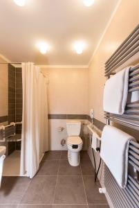 La salle de bains est pourvue d'une douche et de toilettes. dans l'établissement Best Western Premier BHR Treviso Hotel, à Quinto di Treviso