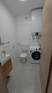 Dj apartment Kostrena في Šodići: حمام ابيض مع مرحاض ومغسلة