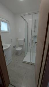 Dj apartment Kostrena في Šodići: حمام مع دش زجاجي ومرحاض