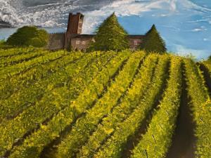 カザーレ・モンフェッラートにあるResidenza Nikolの城を背景にしたブドウ畑の像