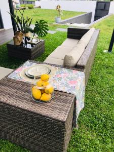 NeivaにあるCentral Guest Houseの椀に座るテディベア