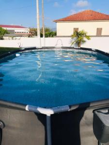 NeivaにあるCentral Guest Houseの家の中の青い水のスイミングプール +36枚の写真