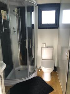 uma casa de banho com um chuveiro, um WC e um lavatório. em Adorable little container house em Hastings