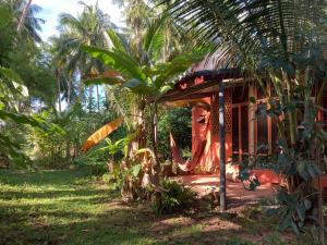 a house with a palm tree in front of it at Cocohut Garden 