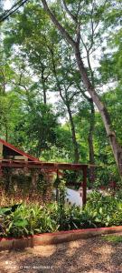 un banc en bois dans un parc planté d'arbres et de plantes dans l'établissement Casa Hadassa La Cañada, à Palenque