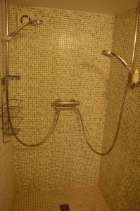 een douche met een slang in de badkamer bij Huis van Rooi in Sint-Agatha-Rode