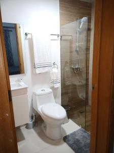 a white bathroom with a toilet and a shower at Simply the most comfortable place next to Boca Chica beach in Boca Chica