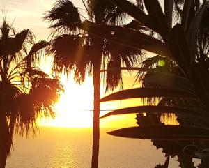a sunset over the ocean with palm trees at ANFI TOPAZ VILLA TAURO GOLF private pool in Mogán