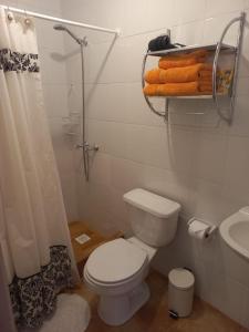 W łazience znajduje się toaleta, prysznic i umywalka. w obiekcie hostal casa talitha w mieście San Pedro de Atacama