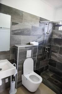 uma casa de banho com um WC, um lavatório e um chuveiro em Casa Grosso em Willemstad