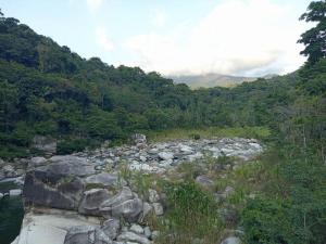 einen Fluss mit Felsen und Bäumen auf einem Feld in der Unterkunft Mi rincón en la montaña. in La Ceiba