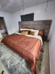 ein Schlafzimmer mit einem großen Bett in einem Zimmer in der Unterkunft Exquisite and Cozy 3-bedroom Apt with hot-tub and WiFi in Agege