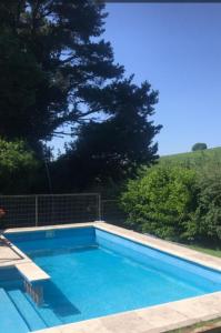a swimming pool with a bench and a tree at Casa sierra de los padres in Sierra de los Padres