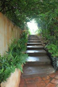 Zahrada ubytování North Shore of Maui - 2bd-2bath