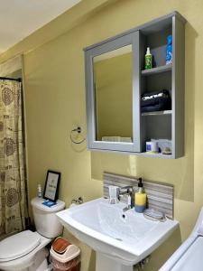 a bathroom with a sink and a toilet and a mirror at Hidden Zen 108 with rental vehicle access in Castries
