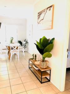 un salon avec une plante en pot sur une table dans l'établissement Trinity Beach Sea Breeze 3 Bedroom Apartment, à Trinity Beach