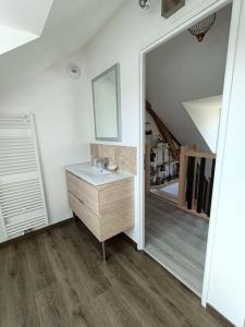 a bathroom with a sink and a mirror at L'écurie d'antan in Hautot-Saint-Sulpice +49 photos