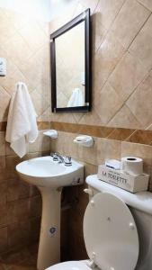 bagno con servizi igienici, lavandino e specchio di Casa Vainilla a La Rioja