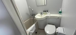 a small bathroom with a toilet and a sink at World Business Hotel in Iida