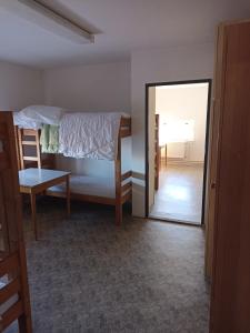 1 dormitorio con litera y espejo en Penzion Athéna - sportovní areál en Nová Včelnice
