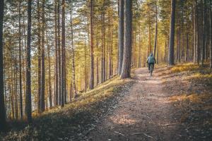 une personne empruntant un vélo sur un chemin de terre dans une forêt dans l'établissement Holiday Resort Harjun Portti, à Punkaharju