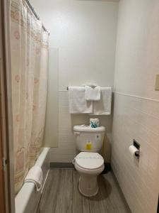 a small bathroom with a toilet and a shower at Central Motel in Fort Morgan