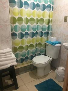 a bathroom with a toilet and a shower curtain at Linda y cómoda casa interior entera/independiente in San Pedro de la Paz