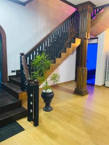 a lobby with a staircase with two potted plants at SISILA BREAK THISSAWEWA in Anuradhapura