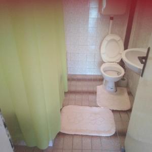 uma casa de banho com um WC e um lavatório em Janina Hiša em Stolac