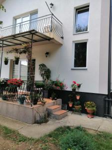 una casa con un porche con macetas. en Apartment Mihajlovic en Vranje