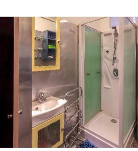 a bathroom with a sink and a shower at Nice Apartments Prague in Prague