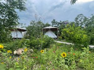 a garden with two huts and a field of flowers at Suối Đá F-Glamping 2026 in Thiện Giáo