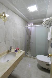 a bathroom with a shower and a sink and a toilet at Apple Tree Hotel in Istanbul