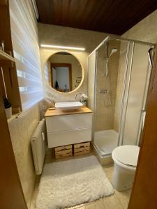 a bathroom with a sink and a shower and a mirror at Studio Apartment BKK in Bad Kleinkirchheim