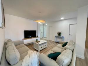 uma sala de estar com dois sofás e uma televisão em Piso familiar cerca de playa em Póvoa do Caraminhal