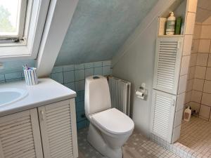 uma casa de banho com um WC e um lavatório em JM B&B em Sakskøbing
