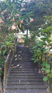 a wooden bridge with a tree with pink flowers at Brisk Ella Retreat in Ella