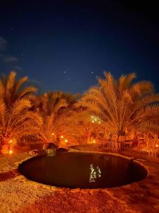 a small pool of water with palm trees at night at Al Kahina Gardens, Retreat and Resort in Siwa