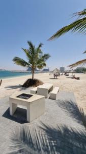 a sandy beach with two benches and a palm tree at Nice Al Marjan studio in Ras al Khaimah