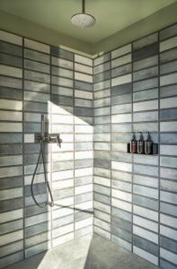 eine Dusche im Bad mit gestreifter Wand in der Unterkunft Gekko House Frankfurt, a Tribute Portfolio Hotel in Frankfurt am Main