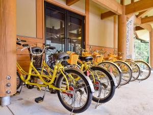 Attività di ciclismo presso il ryokan o nelle vicinanze