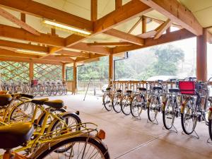 Attività di ciclismo presso il ryokan o nelle vicinanze