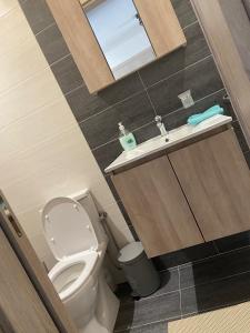 een kleine badkamer met een toilet en een wastafel bij Passatempo Apartment Ireon in Samos