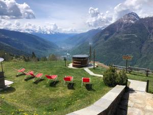 Táj Show holiday homes közelében