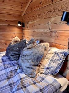 Ảnh trong thư viện ảnh của Tradisjonell laftet hytte ở Vradal